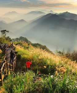 Alishan National Scenic Area