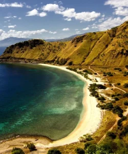 Atauro Island