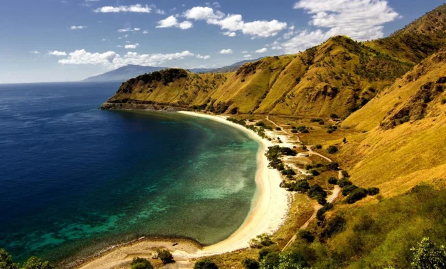 Atauro Island