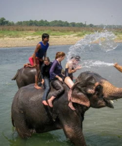 Chitwan National Park