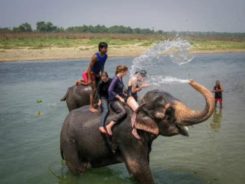 Chitwan National Park
