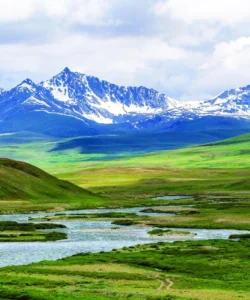 Deosai Plains
