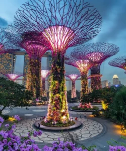 Gardens by the Bay