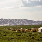 Gobi Desert