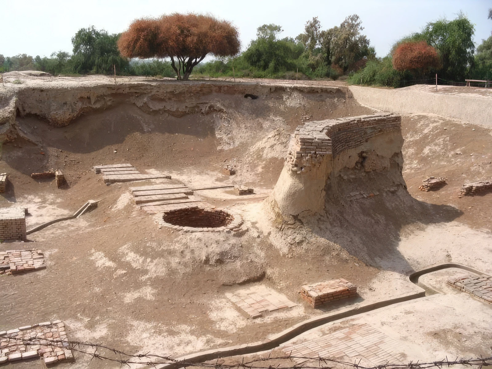 Harappa