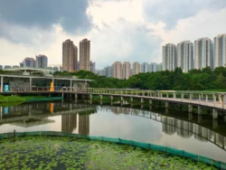Hong Kong Wetland Park