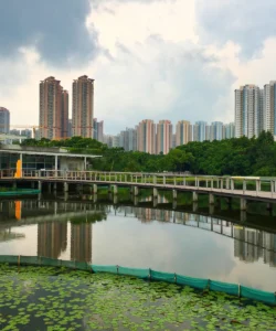 Hong Kong Wetland Park