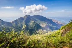 Horton Plains National Park