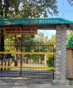 Jim Corbett National Park