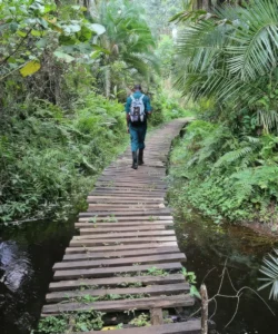 Kibale National Park