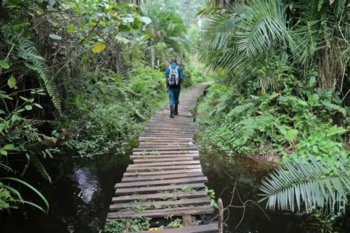 Kibale National Park