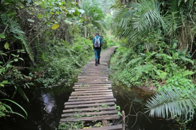 Kibale National Park