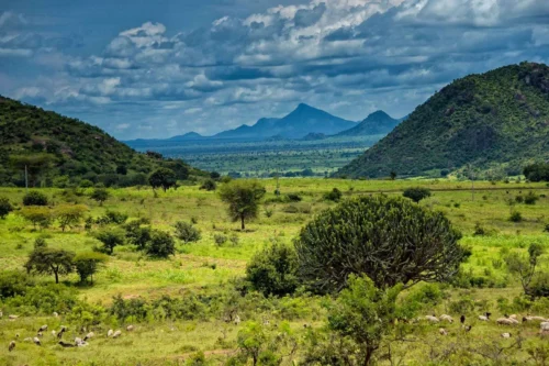 Kidepo Valley National Park
