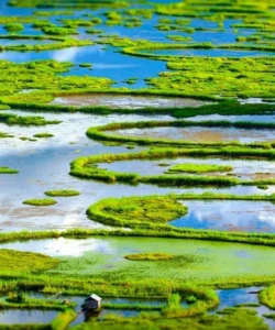 Loktak Lake