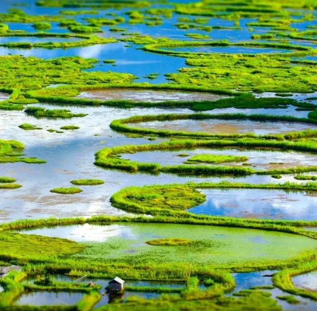 Loktak Lake
