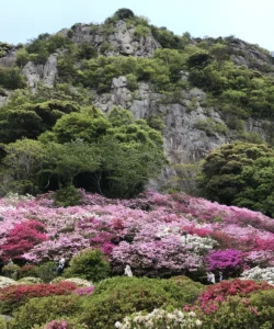 Mifuneyama Rakuen