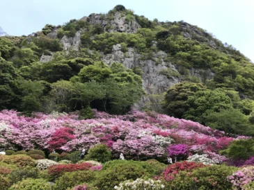 Mifuneyama Rakuen