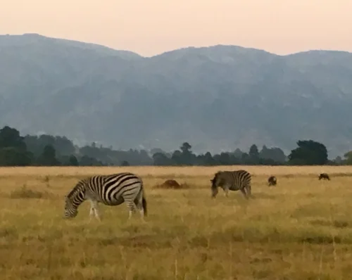 Mlilwane Wildlife Sanctuary