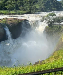 Murchison Falls National Park