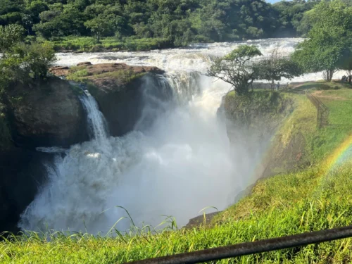 Murchison Falls National Park 16