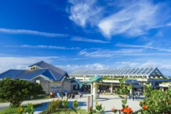 Okinawa Churaumi Aquarium