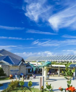 Okinawa Churaumi Aquarium