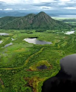 Pantanal