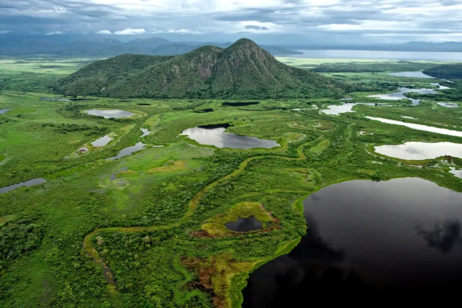 Pantanal