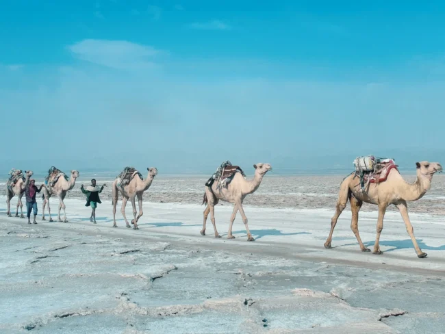 Rann of Kutch