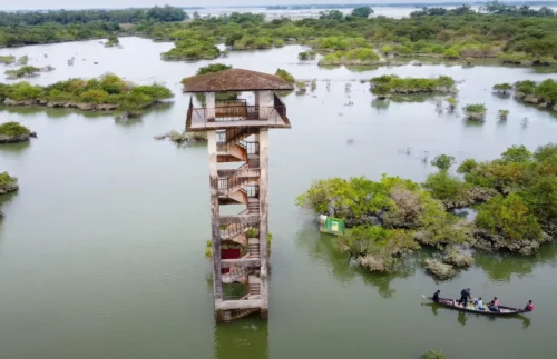 Ratargul Swamp Forest