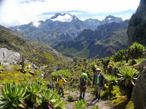 Rwenzori Mountains National Park