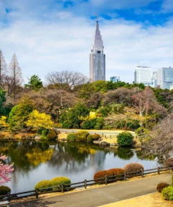 Shinjuku Gyoen National Garden