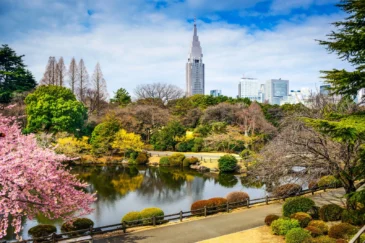 Shinjuku Gyoen National Garden