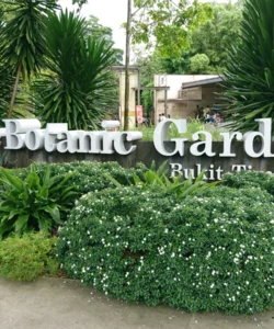 Singapore Botanic Gardens