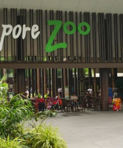 Singapore Zoo