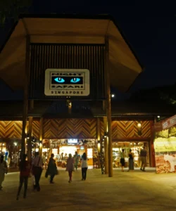 Singapore Zoo Night Safari