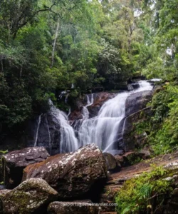 Sinharaja Forest Reserve