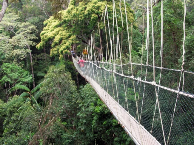 Taman Negara National Park