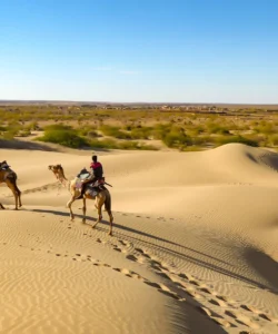 Thar Desert