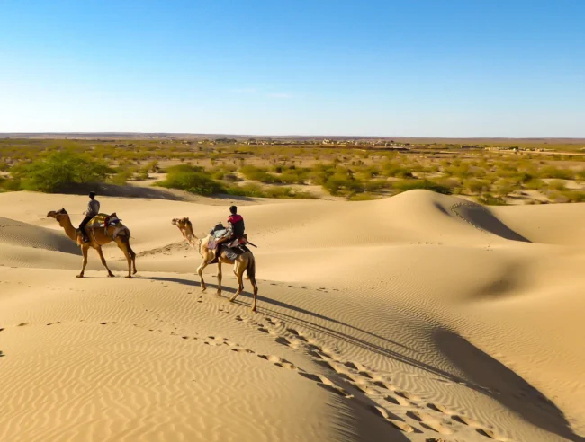 Thar Desert