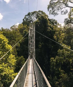 Ulu Temburong National Park