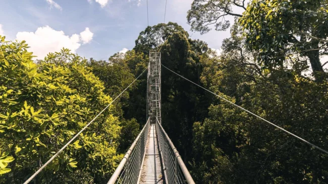 Ulu Temburong National Park