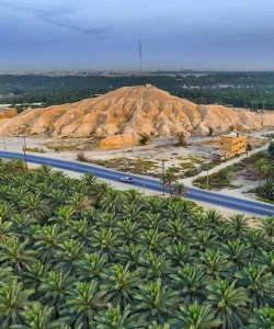 Al Ahsa Oasis