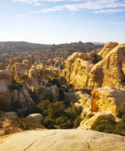 Dana Biosphere Reserve
