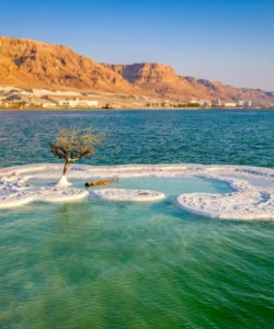 The Dead Sea