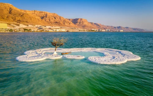 The Dead Sea