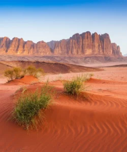 Wadi Rum Protected Area