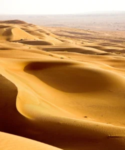 Wahiba Sands Photos