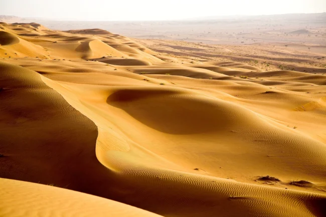 Wahiba Sands Photos