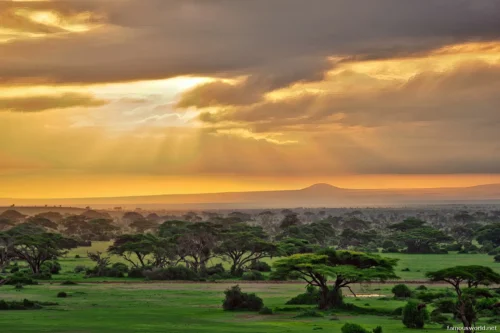 Amboseli National Park 02
